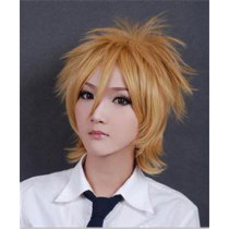 Panty & Stocking with Garterbelt Male Panty Blonde Cosplay Wig
