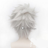 Bleach 10th Division Shinigami Toushiro Hitsugaya White Cosplay Wigs