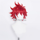 SK8 the Infinity SK∞ Reki Langa Cherry Blossom Miya Red Blue Pink Black Cosplay Wigs