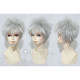Ao no Exorcist Shiro Fujimoto Gray Cosplay Wig