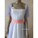 Titanic Rose Chiffon Prom Dress Cosplay Costume Film
