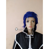 Fate Stay Night Lancer Long Blue Cosplay Wig