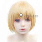 Attack on Titan Shingeki No Kyojin Eren Armin Jean Levi Erwin Black Brown Blonde Cosplay Wigs