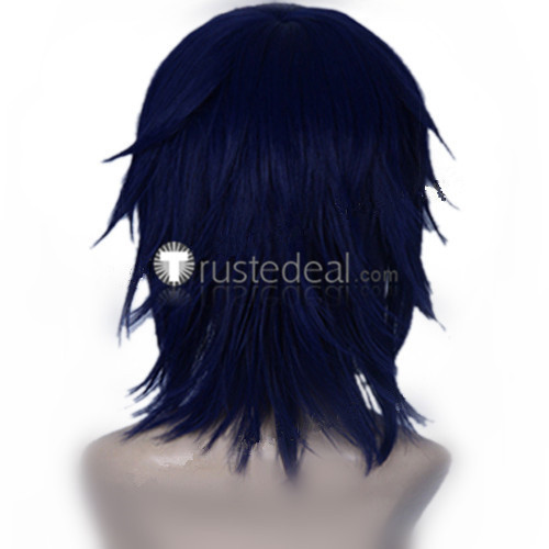 Prince of Tennis Yushi Oshitari Blue Cosplay Wig