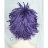 Boku no Hero Academia My Hero Academia Hitoshi Shinsou Spicky Purple Cosplay Wig