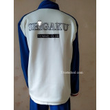 The Prince of Tennis TeniPuri Seigaku Seishun Academy Ryoma Kunimitsu Team Blue Uniform Cosplay Costume 2