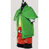 The Legend of Zelda Hyrule Warriors Linkle Female Link Cosplay Costume