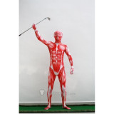Attack on Titan Shingeki no Kyojin Giant Printed Spandex Suit Cosplay Costume