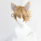 Disney Twisted-Wonderland Idia Cater Ruggie Jack Vil Rook Cosplay Wigs