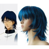 Prince of Tennis Oshitari Yuushi Cosplay Wig(FZ94)
