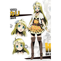 Divine Gate Hikari Cosplay Shoes Boots