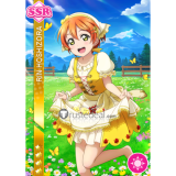 Love Live Umi Nico Eli Maki Tojo Kotori Rin Honoka Hanayo Witch Magician Wizard Cosplay Costume