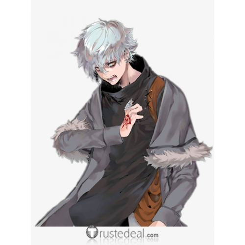Fate Grand Order FGO Crypters Kadoc Zemlupus Silver Grey Cosplay Wig