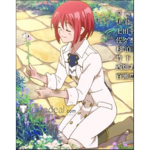 Akagami no Shirayukihime Shirayuki Daily Cosplay Costume 1