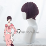 Tenrou Sirius the Jaeger Agatha Purple Cosplay Wig