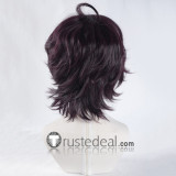 Kekkai Sensen Blood Blockade Battlefront Leonardo Watch Dark Brown Purple Cosplay Wig