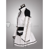 Vocaloid 2 Project DIVA 2nd Hatsune Miku Eeru Danju Ver Cosplay Costume