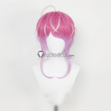Hypnosis Microphone Division Rap Battle Tsutsujimori Rosho Sasara Nurude Amemura Ramuda Cosplay Wigs
