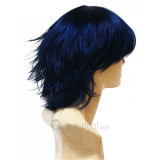 Harukanaru Toki No Naka De Blue Cosplay Wig