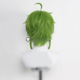 Mushoku Tensei Isekai Ittara Honki Dasu Jobless Reincarnation Rudeus Roxy Sylphiette Eris Orsted Blue Red Green Cosplay Wigs