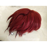 Twin Star Exorcists Sousei no Onmyouji Shimon Ikaruga Kamui Red Purple Cosplay Wig