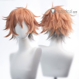 Disney Twisted-Wonderland Idia Azul Malleus Leona Ace Riddle Cosplay Wig