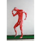 Attack on Titan Shingeki no Kyojin Giant Printed Spandex Suit Cosplay Costume