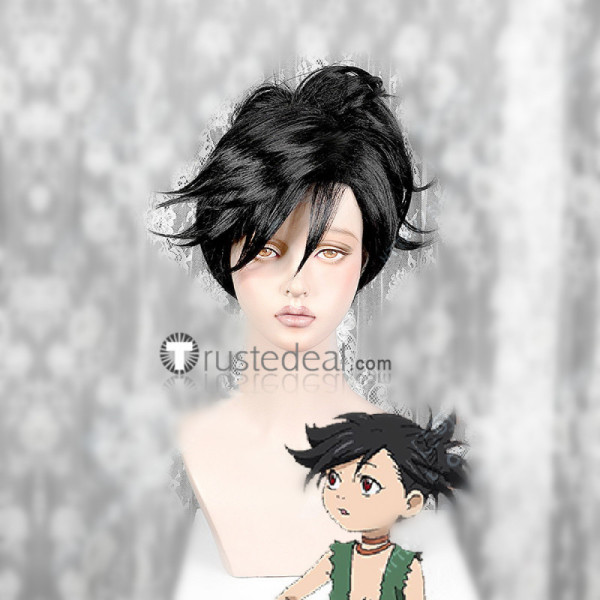 Dororo Thief Black Ponytail Cosplay Wig