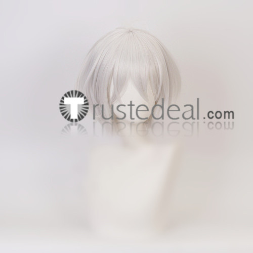 Castlevania Soma Cruz Hector Silver Grey White Cosplay Wigs