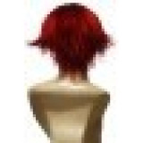 Prince of Tennis Kikumaru Eiji Red Brown Cosplay Wigs