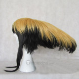 Nurarihyon no Mago Nurarihyon Cosplay Wig
