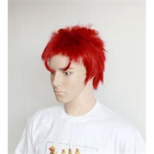 Baka to Tesuto to Shokanjuu Sakamoto Yuuji Cosplay Wig