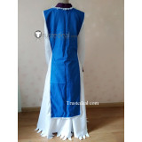 Touhou Perfect Cherry Blossom Ran Yakumo Cosplay Costume