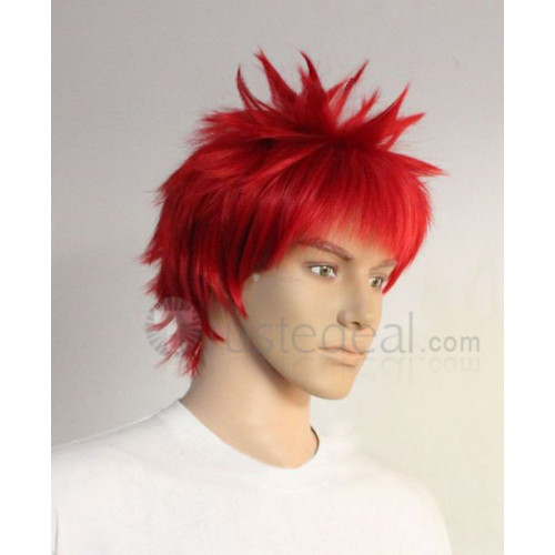 Sword Art Online Klein Red Cosplay Wig