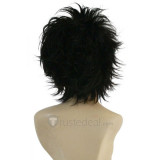Prince of Tennis Kirihara Akaya Cosplay Wig(FZ93)