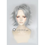 My Hero Academia Boku no Hero Academia Tetsutetsu Tetsutetsu Silver Gray Cosplay Wig