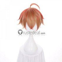 Sengoku Night Blood Toyotomi Hideyoshi Mixed Color Styled Cosplay Wig