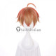 Sengoku Night Blood Toyotomi Hideyoshi Mixed Color Styled Cosplay Wig
