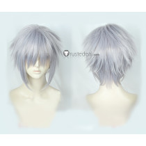 Kingdom Hearts Riku Silver Gray Cosplay Wig