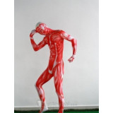 Attack on Titan Shingeki no Kyojin Giant Printed Spandex Suit Cosplay Costume