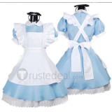 Alice in Wonderland Alice Blue Cosplay Costume