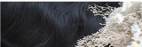 Dalao Home~Moss Long Straight Antique Hanfu Lolita Wig