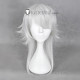 Psycho-Pass Makishima Shogo Silver White Cosplay Wig