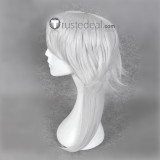 Psycho-Pass Makishima Shogo Silver White Cosplay Wig