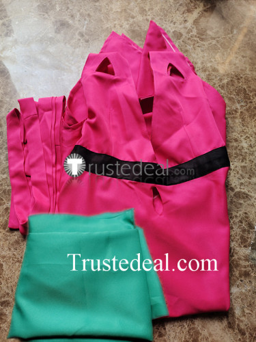 She Ra Princesses of Power Princess Perfuma Green Pink Cosplay Costume