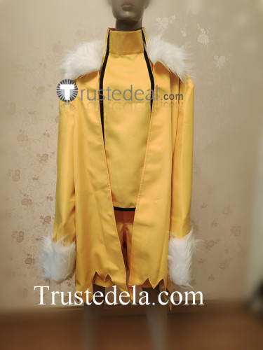 Pokemon Thunders Jolteon Gijinka Yellow Cosplay Costume