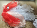 Goldeen Dress Swimsuit Cosplay Costume