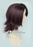 Tiger and Bunny Kotetsu T. Kaburagi Brown Cosplay Wigs
