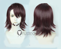 Tiger and Bunny Kotetsu T. Kaburagi Brown Cosplay Wigs