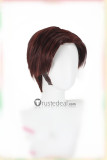 Frozen Disney Prince Hans Kristoff Bjorgman Brown Cosplay Wigs